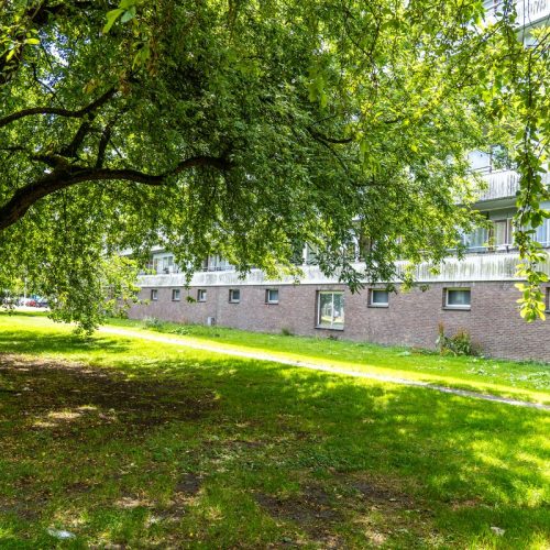 buurt-flat